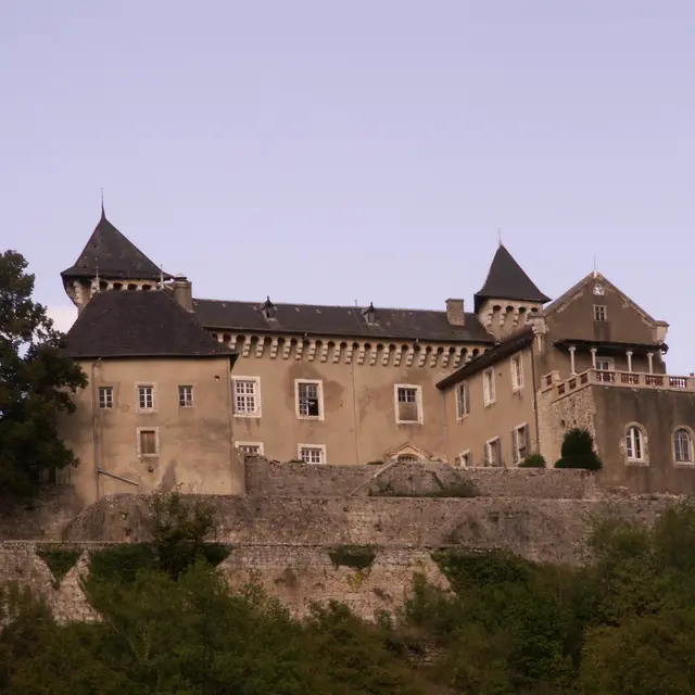 Château de Grammont - Ceyzérieu