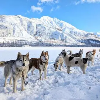 Mini trappeurs - Cani Rando_Saint-Michel-de-Chaillol