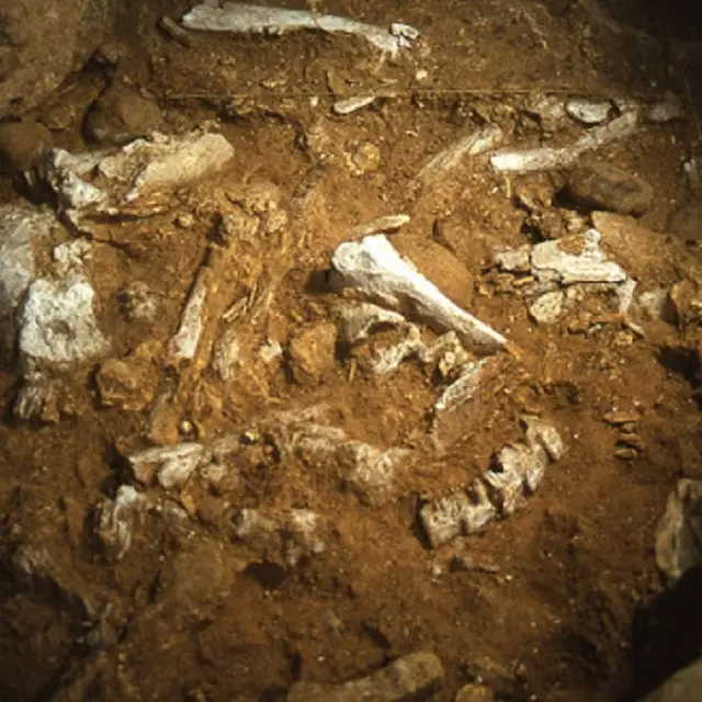 La grotte du Vallonnet à Roquebrune-Cap-Martin_Roquebrune-Cap-Martin