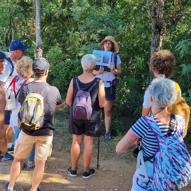 Balade nature à Porquerolles - Faune et flore d'ici... et d'ailleurs_Hyères