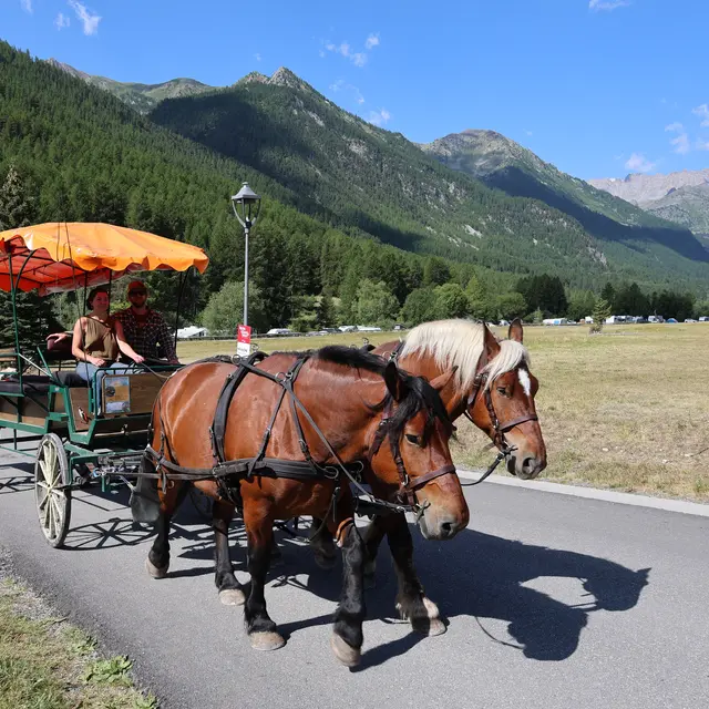 Balade en calèche_Névache