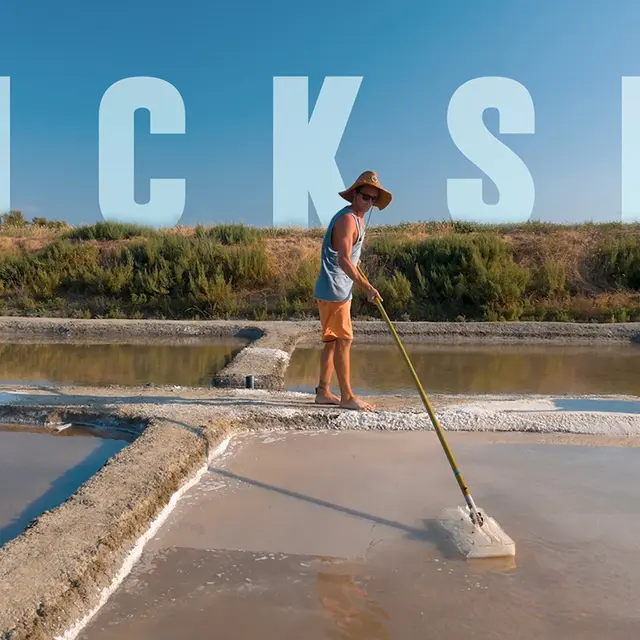 PickSel