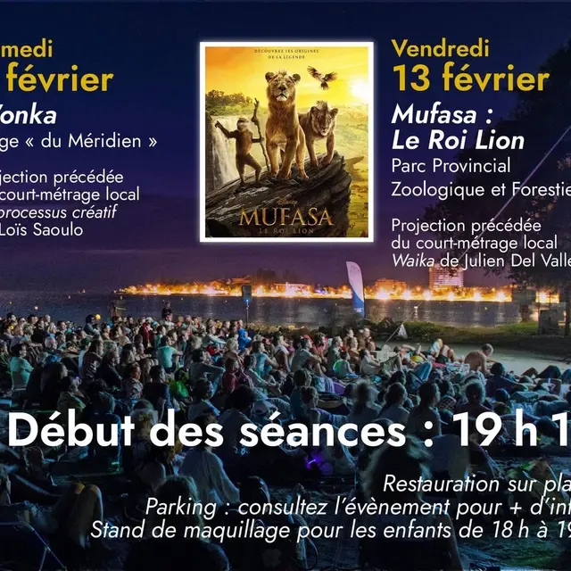 Une toile sous les étoiles – Mufasa, le Roi Lion (Parc forestier)_Nouméa