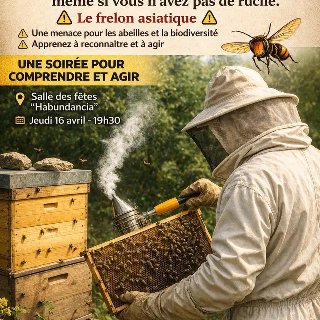 Réunion d'information sur le frelon asiatique_Abondance