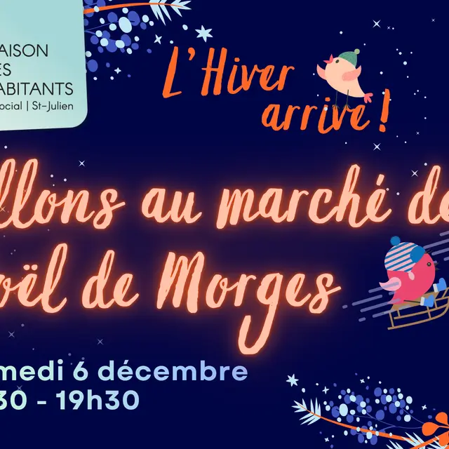 Sortie au château de Morges - L'Hiver arrive !_Saint-Julien-en-Genevois