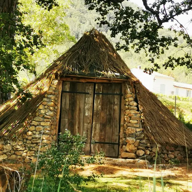 Cabane insolite dans les bois