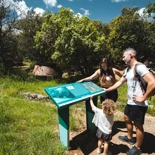 Sortie nature : Raconte moi le Pays du Verdon_Baudinard-sur-Verdon