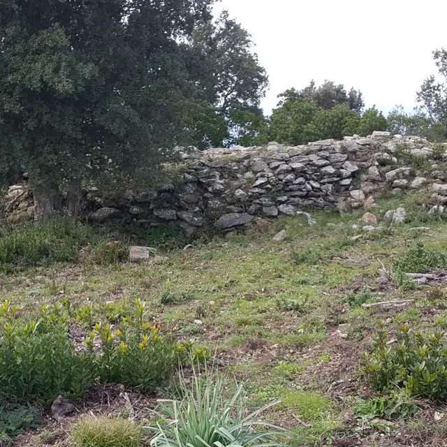 Oppidum du Montjean