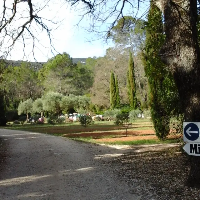 Apiculteur M. Beaucé