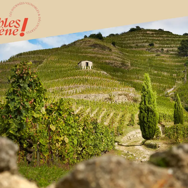Chasse au trésor Les Secrets de l'Hermitage - Maison Delas Frères_Tain-l'Hermitage