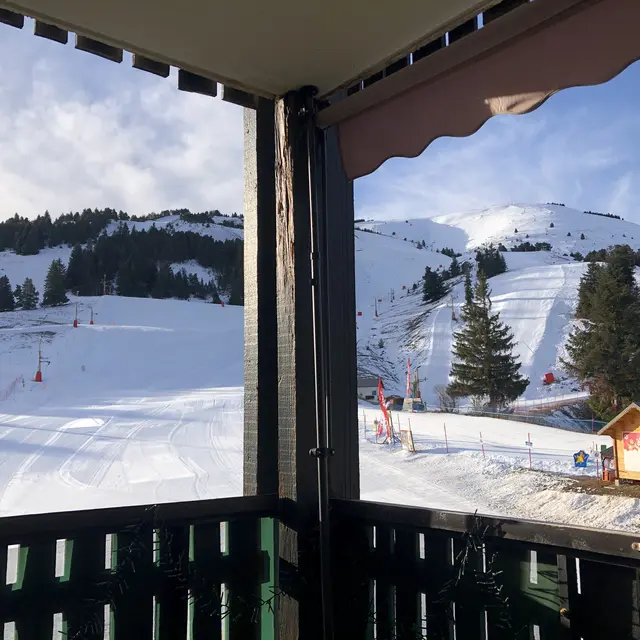 Appartement Les Marmottes