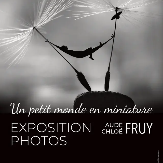 Exposition de photos : un petit monde en miniature_Gap