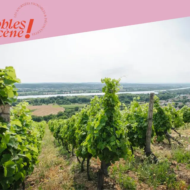 Wine Notes au Domaine Anthony Paret_Saint-Pierre-de-Boeuf