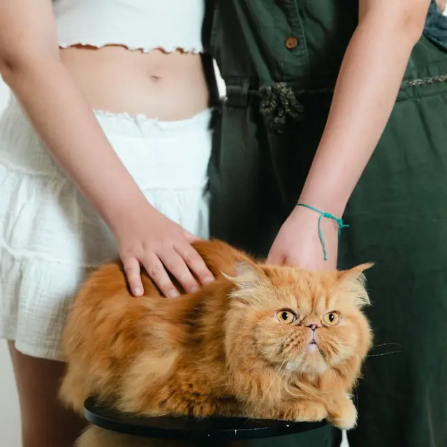 Village Charlot : Laura Lafon en résidence de création