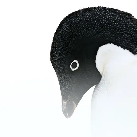 Exposition : Margot Sib  L'appel des pôles _Carpentras