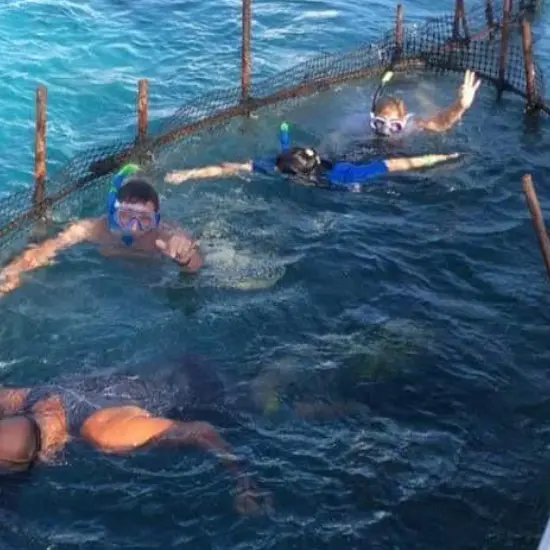 Pension Vainui - Tahiti Tourisme