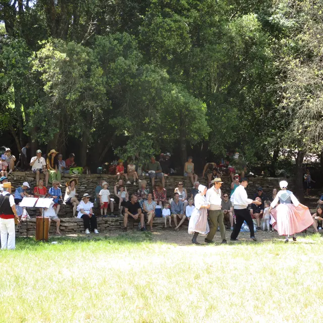 Fête des vendanges_Le Beausset