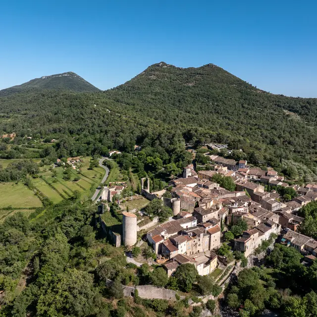 Sentier botanique - Les Frégourières_Pontevès