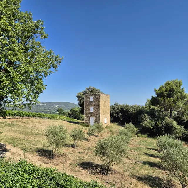 Visite du vignoble 'La vigne en mouvement' - La Maison des Nomades_Vaison-la-Romaine