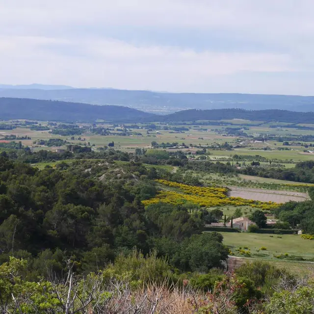 Circuit au Mourre Nègre depuis Cucuron