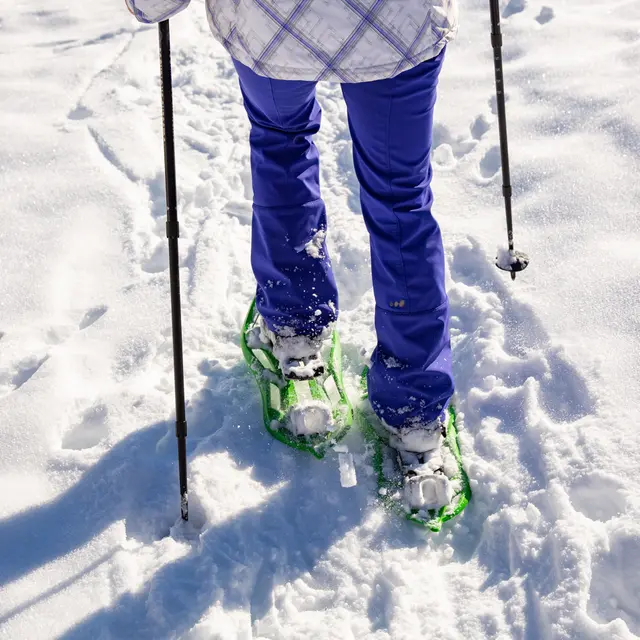 Randonnée raquettes encadrée à l'affut des chamois avec Planet Gliss_La Chapelle-d'Abondance