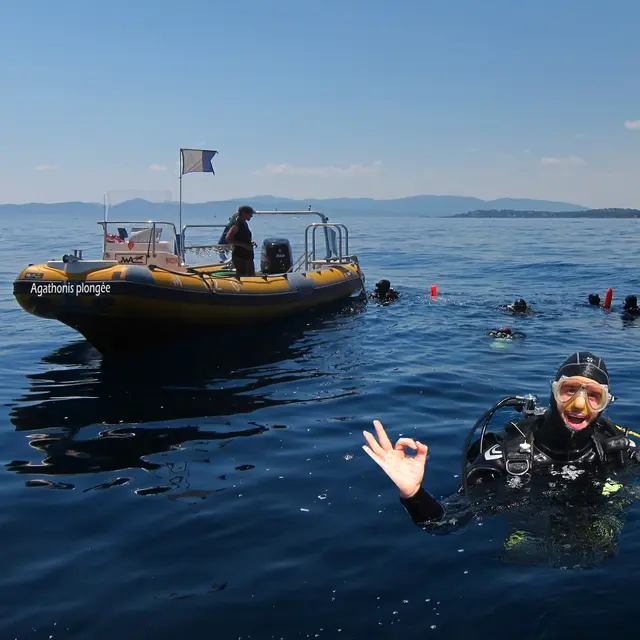 Agathonis plongée