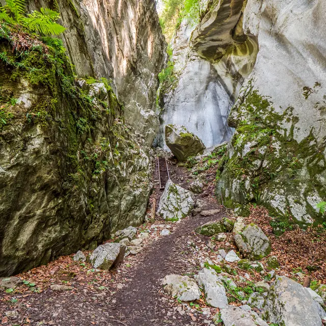 Itinéraire pédestre : rando'bus Les Gorges des Tines