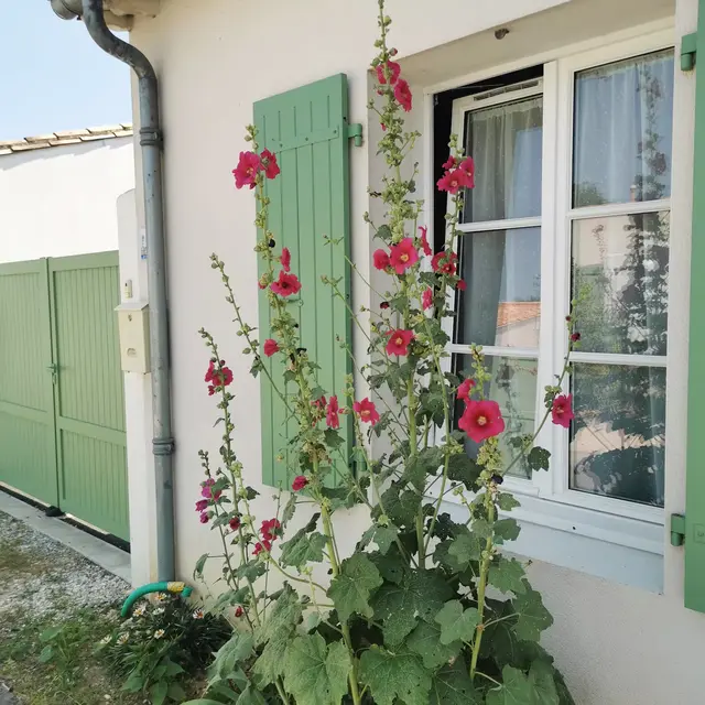 Maison vue de la rue