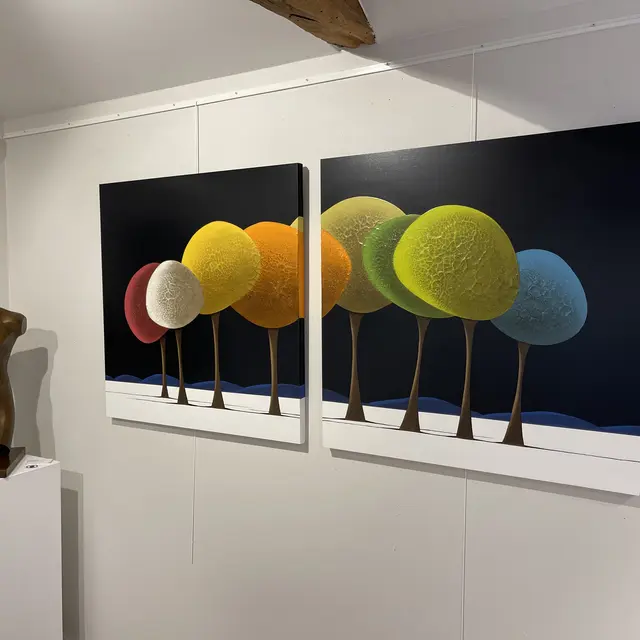 Galerie Deza