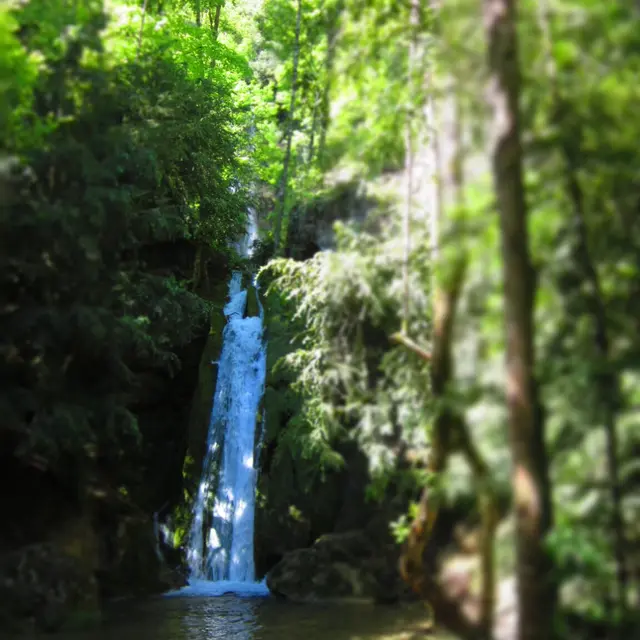 Échappée gourmande, entre cascades et sanglier_Ilhat