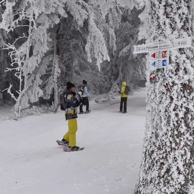 Veillée nordique dans les monts du Forez