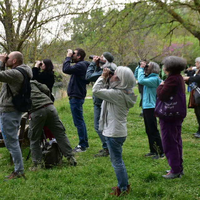 Balade ornithologique : focus sur les migrations_Roquemaure