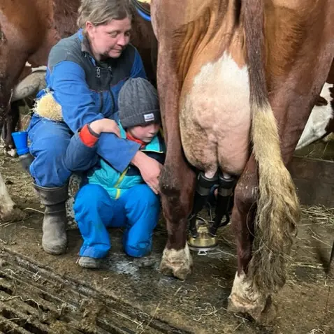 Rando à la ferme avec traite des vaches_Les Saisies