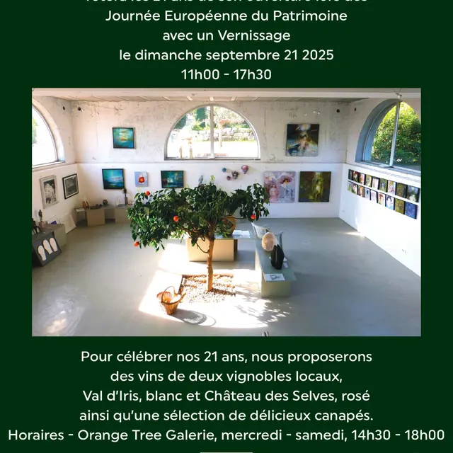 Vernissage et exposition à The Orange Tree Galerie_Seillans
