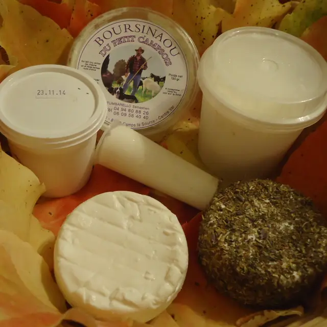 Le Petit Campsois - Camps la Source