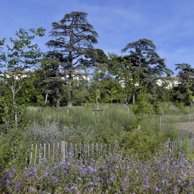 Parc de la Moline - Ville de Marseille