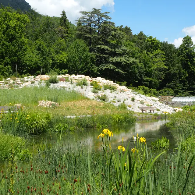 Jardin alpin Gap-Charance