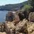 Sentier du littoral au cap d'Antibes (Tirepoil)_Antibes