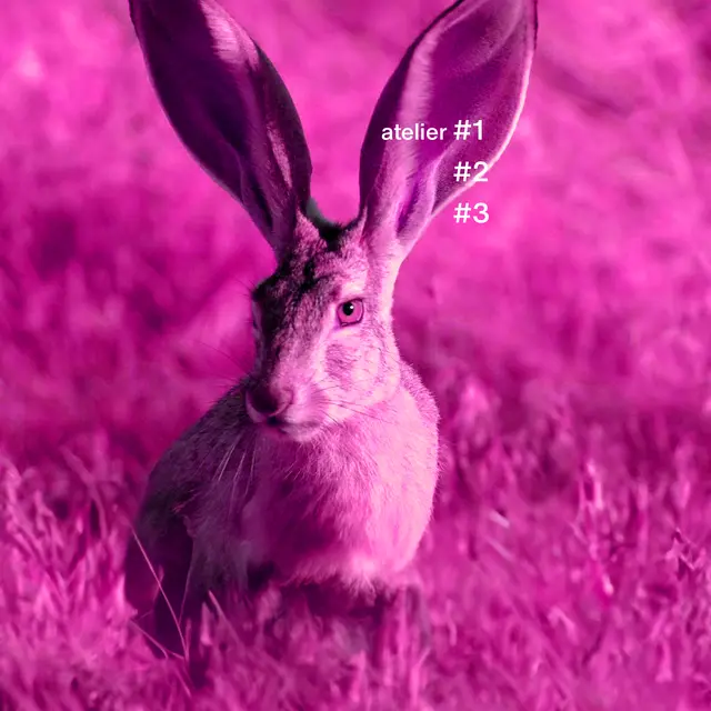 Atelier d'écoute musicale : Atelier tout ouïe_Chambéry