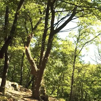 Les Jardins de Nouveau_Génolhac