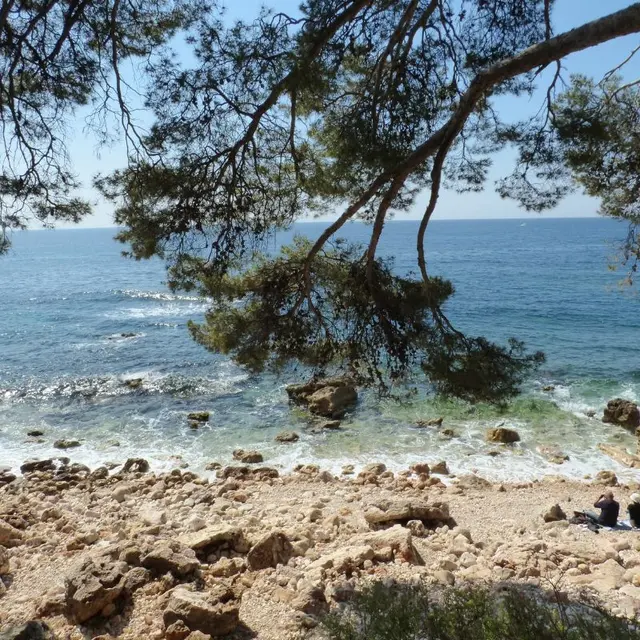 Crique de l'anglaise Bandol