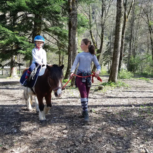 Tours de poneys à Thônes