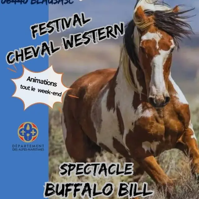 1er Festival du cheval Western_Blausasc