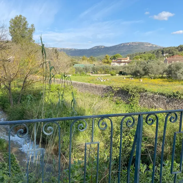 Visite guidée : à la découverte du terroir cuersois_Cuers