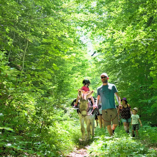Rando âne et montagne avec Altimood