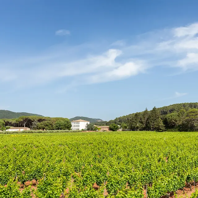 Domaine des Thermes_Le Cannet-des-Maures