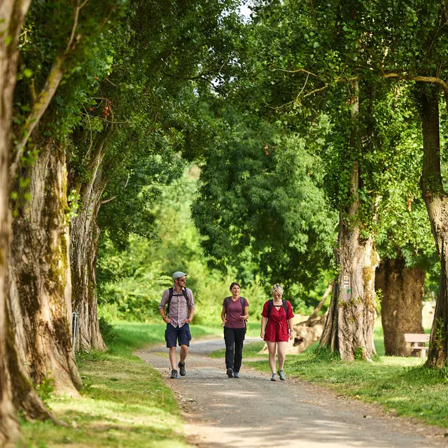 Balade en forêt autour d'Angers