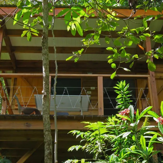 La cabane