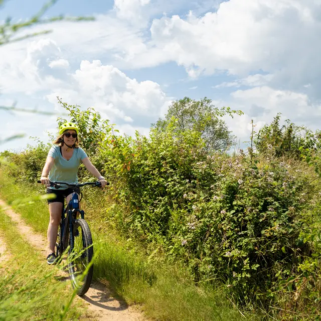 Balade VTT au cœur du Roannais