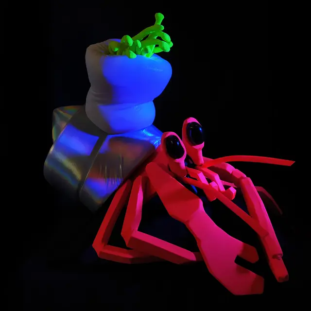 Allo Cosmos par Marc de Blanchard & Fanny Paris_Annecy